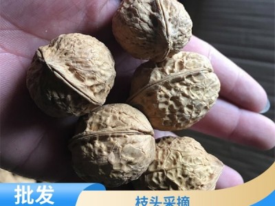 手工挑选 核桃坚果 产地直发 马进农业种植合作社图5