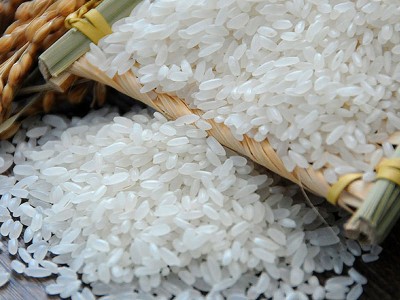 趣农夫 东北五常大米5kg 长粒香米新米特产农产品厂家直批代发图4