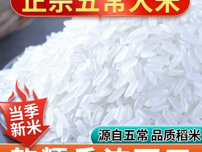 现磨现发正宗 五常大米5kg东北大米10斤长粒米香米当季新米批发图2