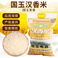 国玉汉香米明光大米产地货源现货种植5斤汉香大米批发代发
