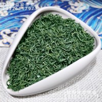 浓香绿版松阳香茶2023新茶产地供应高山云雾日照炒青浙江绿茶批发