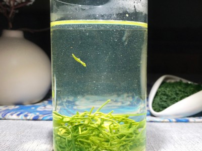 浓香绿版松阳香茶2023新茶产地供应高山云雾日照炒青浙江绿茶批发图2