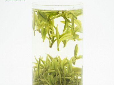 安吉毛峰白茶散装批发2023新茶礼品袋毛峰茶产地直供浙江绿茶图3