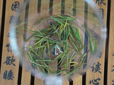 【2023年新茶上市】竺之润正宗安吉白茶雨前茶特级250克兰花香图2