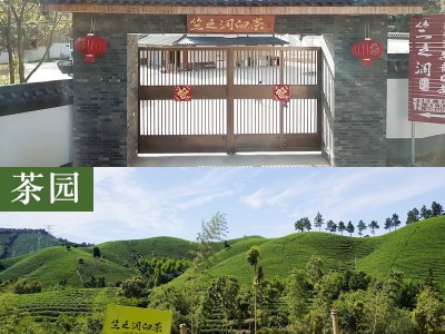 【2023年新茶上市】竺之润正宗安吉白茶雨前茶特级250克兰花香图3