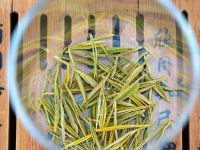 2022年新茶 竺之润正宗安吉黄金芽500克 雨前茶特级绿茶图2
