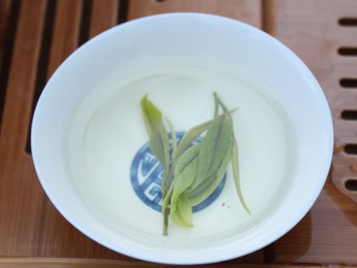 2021年新茶 竺之润牌安吉白茶雨前茶二级250克 茶场直销批发绿茶图5