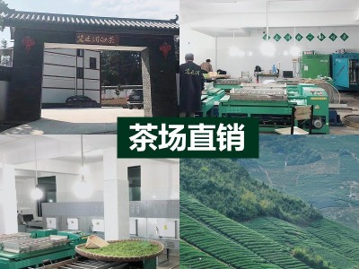 2021年新茶 竺之润牌安吉白茶雨前茶二级250克 茶场直销批发绿茶图3