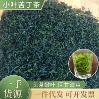 厂家批发筠连小叶苦丁茶生津解渴微苦回甘青山绿水小叶苦丁茶