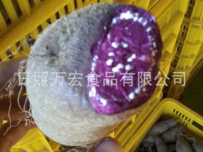 出口红薯图1