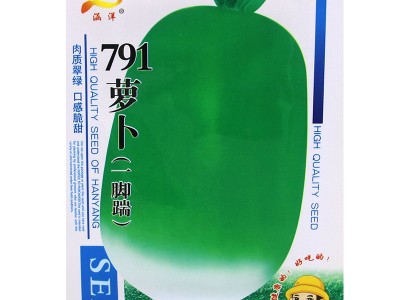 涵洋791萝卜种子青萝卜种籽大青萝卜种籽口感清脆汁多抗虫蔬菜种图2