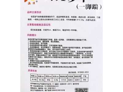 涵洋791萝卜种子青萝卜种籽大青萝卜种籽口感清脆汁多抗虫蔬菜种图3