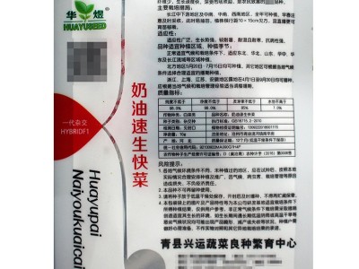 煜奶油速生快菜种子厂家批发早熟小白菜种籽菜园四季蔬菜孑图4