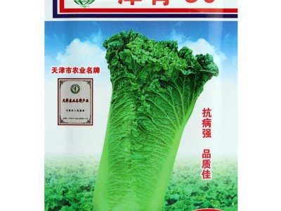 大白菜种子白菜籽青菜种子蔬菜种子批发菜种菜籽菜种子公司四季图4