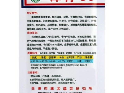 大白菜种子白菜籽青菜种子蔬菜种子批发菜种菜籽菜种子公司四季图2