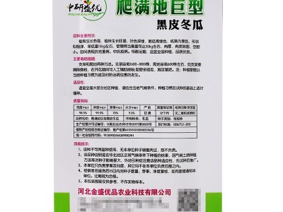 中研爬满地黑皮冬瓜种子 肉厚肉质密成熟厚为黑品种冬瓜籽图4
