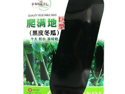 中研爬满地黑皮冬瓜种子 肉厚肉质密成熟厚为黑品种冬瓜籽图5
