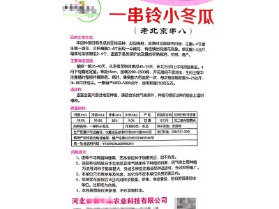 一串铃小冬瓜种子 农田菜园栽培易储藏老北京串八冬瓜蔬菜籽图5