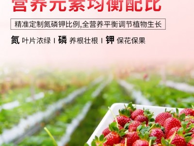 批发草莓肥料有机肥氮磷钾颗粒肥营养粒一件代发包邮家用盆栽花肥图2