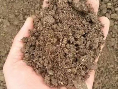 牛屎肥纯干牛粪肥农家肥牛粪有机肥料花蔬菜用天然农家牛粪块图2