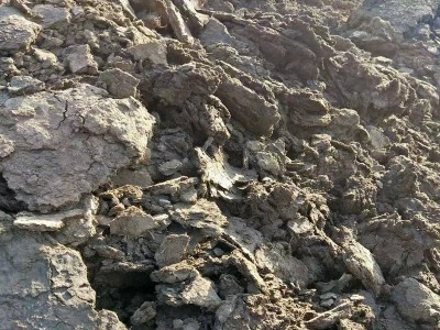 发酵纯羊粪 微生物菌肥 果蔬农家生物有机肥厂家批发图3