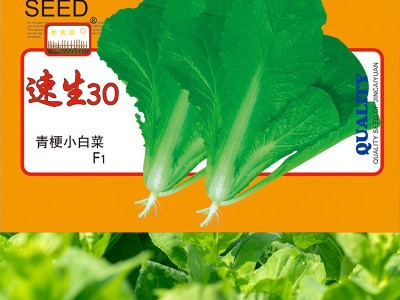 批发小白菜种子口感脆嫩颜色亮绿长速快200g袋装蔬菜种子公司批发图3