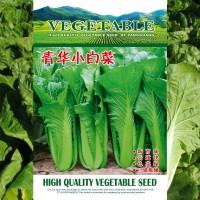 青华小白菜种子200g袋装色量绿口感翠嫩无纤维品质好蔬菜种子批发