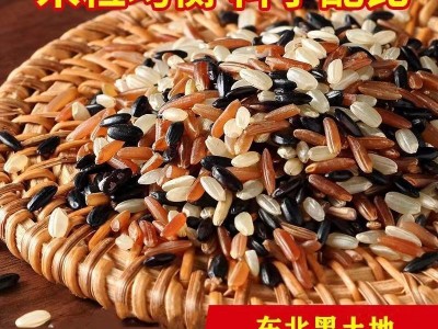 五谷糙米新米东北五谷杂粮饭粗粮组合养生粥图2