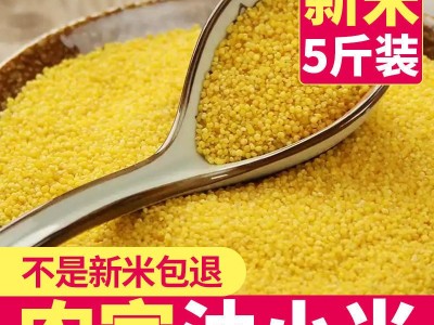 黄新米5斤山西农家养胃糯月子油五谷杂粮小黄米图4