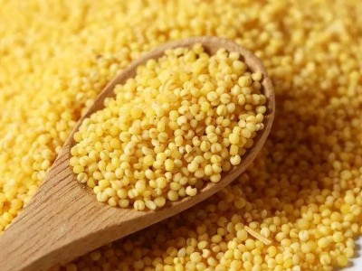 黄小米10斤装批发散装辽宁朝阳新小米农家五谷杂粮红谷米可代发图3