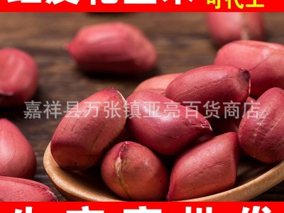 厂家批发红皮花生米1斤新粮现货四粒红原味精选生花生仁零售代发图4