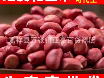 厂家批发红皮花生米1斤新粮现货四粒红原味精选生花生仁零售代发图3
