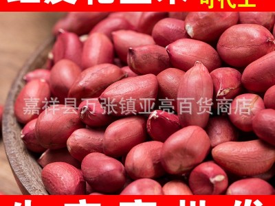 厂家批发红皮花生米1斤新粮现货四粒红原味精选生花生仁零售代发图2