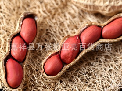 红皮花生米2斤山东小粒花生可做真空包装新货红衣花生四粒红代发图4