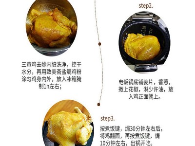 整箱48盒嘉文牌鸡粉盐焗鸡配料沙姜盐焗粉调味品香料广东梅州图2