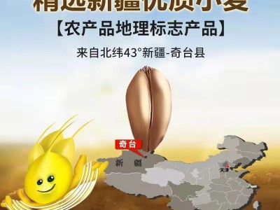奇麦园新疆雪花粉5kg家用 奇台面粉 馒头包子饺子面条图4