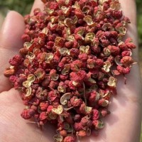 现货超香特麻 花椒 种类齐全 可大量批发厂家直发 金亿鑫