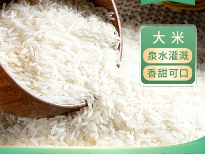 产地直发长粒香大米批发新米中晚稻籼米湖北泉水米大米5kg批发图2