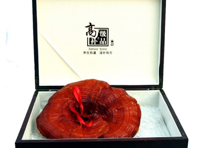长白山灵芝高档皮质礼盒装煲汤泡酒中老年滋补节日福利慰问礼品图5