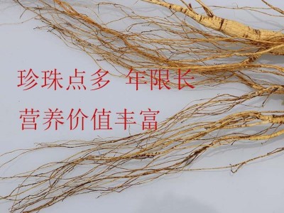 东北特产长白干山参整支移山参15克左右泡酒煲汤中老年滋补图4