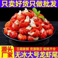 工厂直发鲜活龙虾尾冷冻小龙虾尾500g无冰衣虾球大号商用虾尾批发