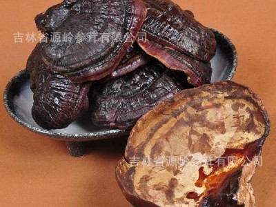 批发灵芝 长白山紫灵芝 半灵芝 东北特产灵芝500克20个左右图2