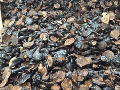 批发灵芝 长白山紫灵芝 半灵芝 东北特产灵芝500克20个左右图5