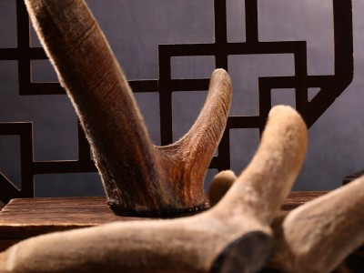 干鹿茸吉林鹿乡特产泡酒煲汤整枝鹿茸批发销售量大从优批发干鹿茸图2