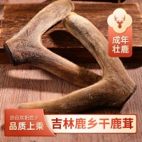 干鹿茸吉林鹿乡特产泡酒煲汤整枝鹿茸批发销售量大从优批发干鹿茸