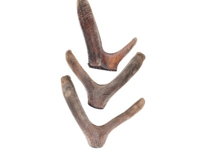 干鹿茸吉林鹿乡特产泡酒煲汤整枝鹿茸批发销售量大从优批发干鹿茸图5