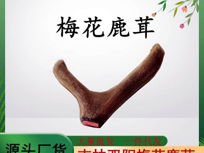 批发鹿茸干鹿茸整枝二杠茸礼盒装吉林鹿乡发货批发图2