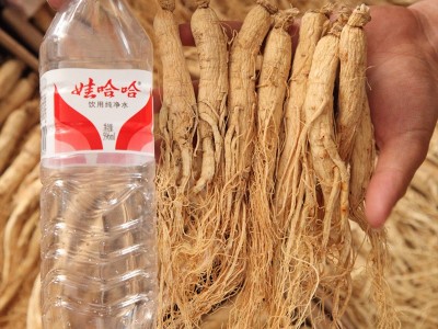 吉林长白山人参5吨生晒参过检五年低农残白参东北特产干人参批发图2