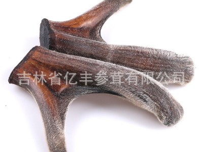 吉林亿丰鹿业干鹿茸东北鹿茸二杠头茬鹿茸泡酒厂家批发可装礼盒图4