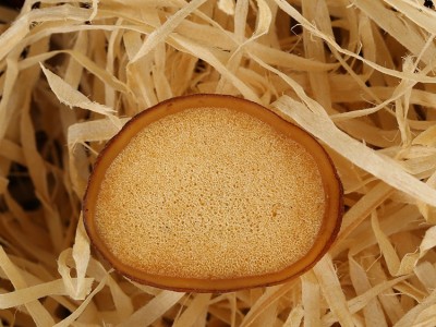 亿丰厂家货源鹿产品泡酒煲汤头茬鹿茸半腊片散装好品送礼之选泡酒图2